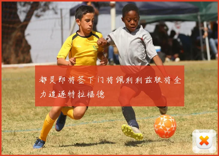 都灵即将签下门将佩利利兹联将全力追逐特拉福德