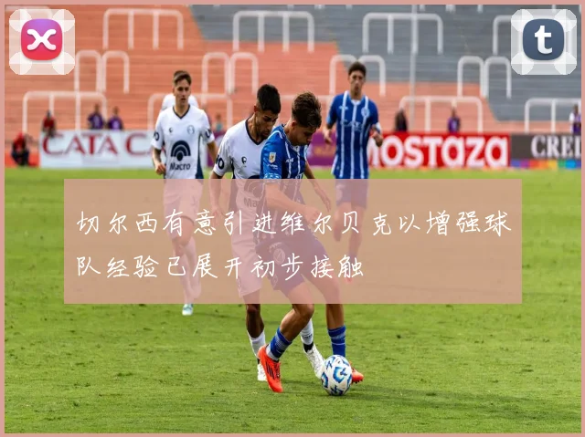 切尔西有意引进维尔贝克以增强球队经验已展开初步接触